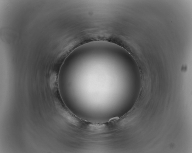 X0000092060480200709191146