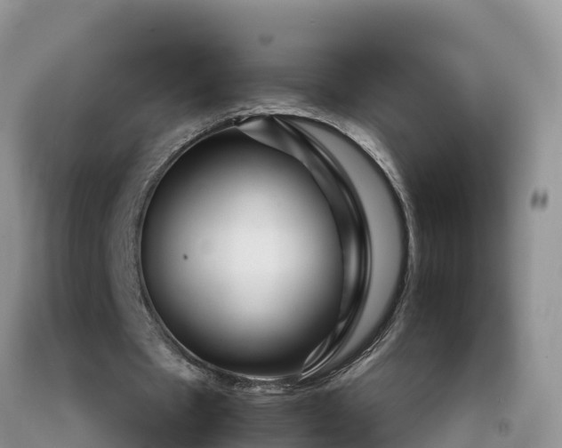 X0000092060481200709191145