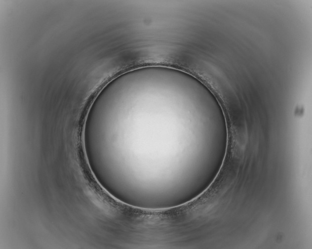 X0000092060482200709191145