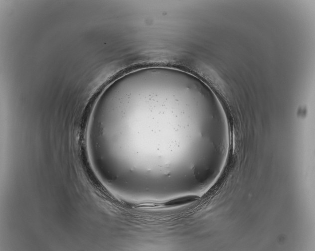 X0000092060483200709191145