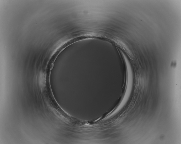 X0000092060484200709191145