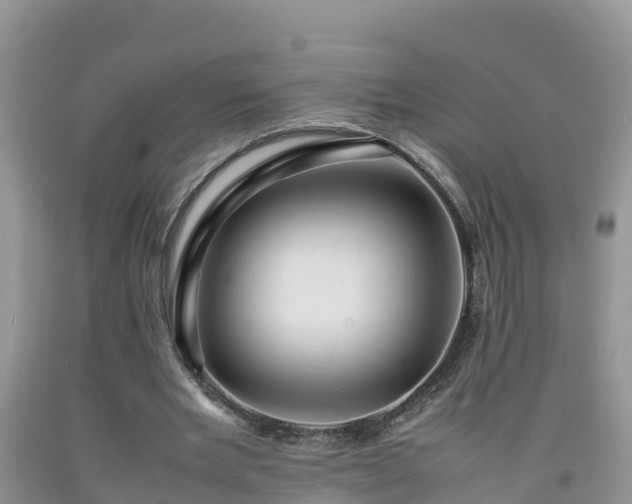 X0000092060485200709191145