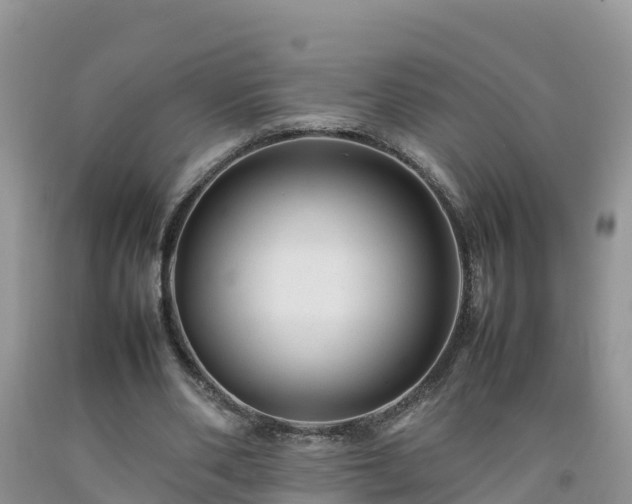 X0000092060486200709191145