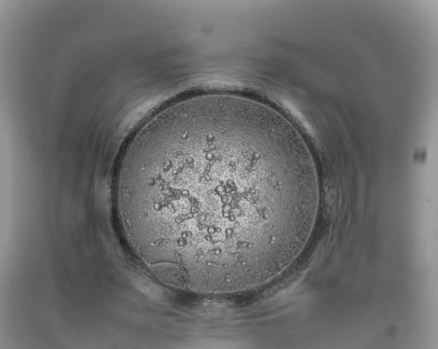 X0000092060487200709191145