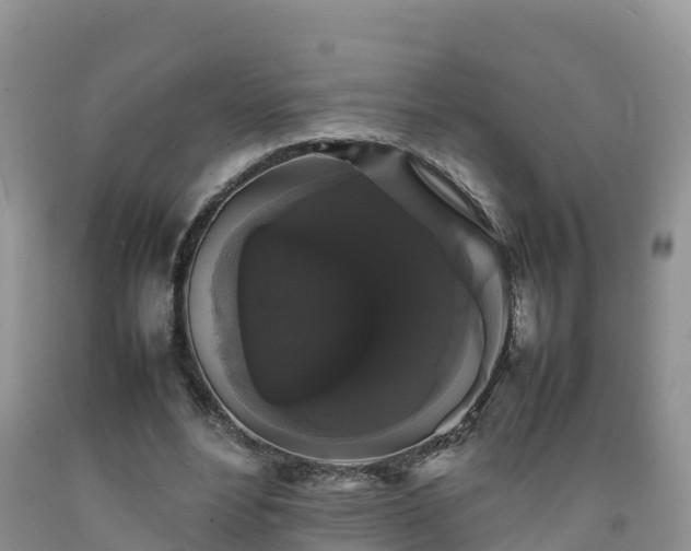 X0000092060488200709191145