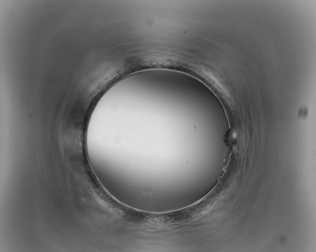 X0000092060489200709191145