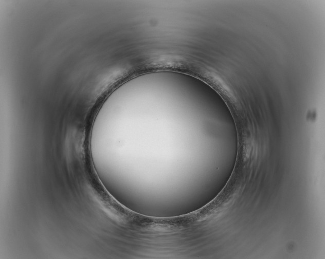 X0000092060490200709191145