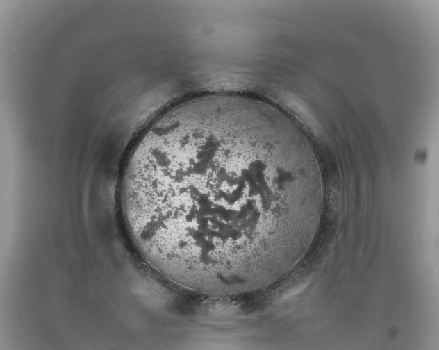 X0000092060491200709191145