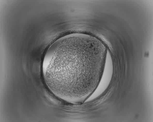 X0000092060493200709191145