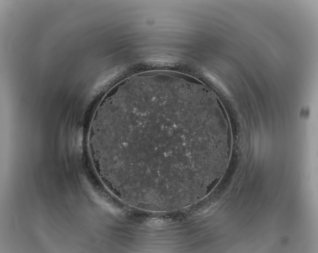 X0000092060494200709191145