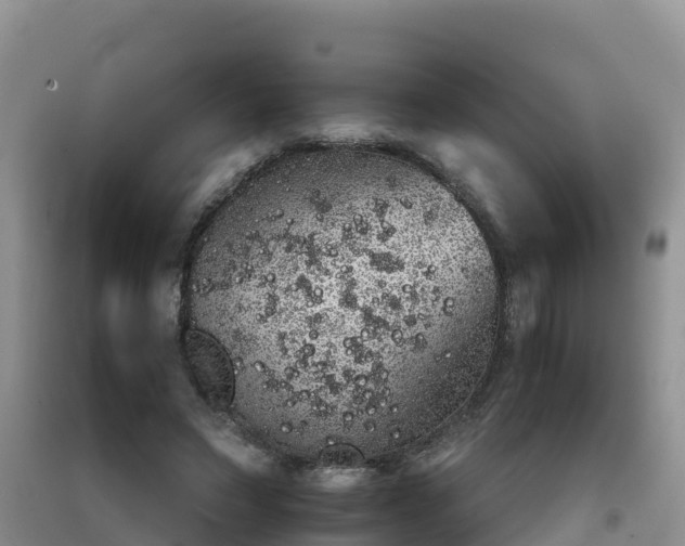 X0000092060495200709191145