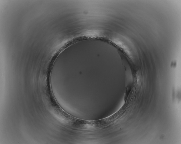 X0000092060496200709191145