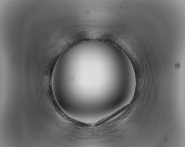 X0000092060497200709191145