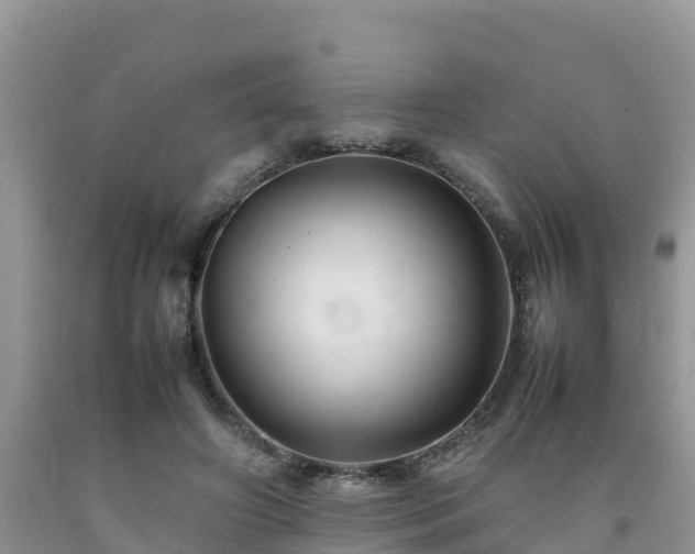 X0000092060498200709191145