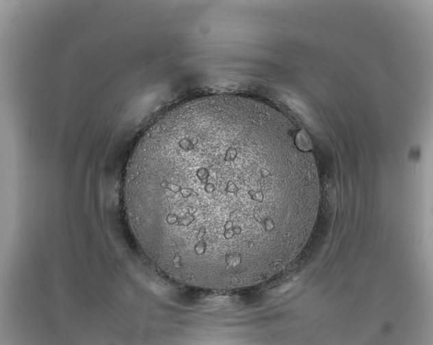 X0000092060499200709191145