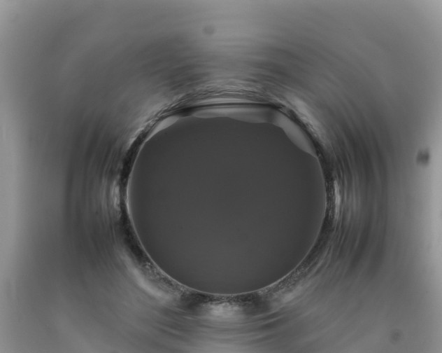 X0000092060500200709191145