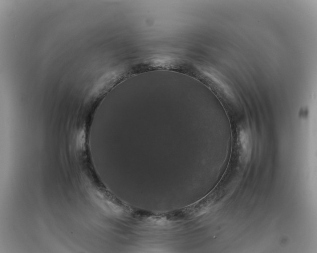 X0000092060502200709191144