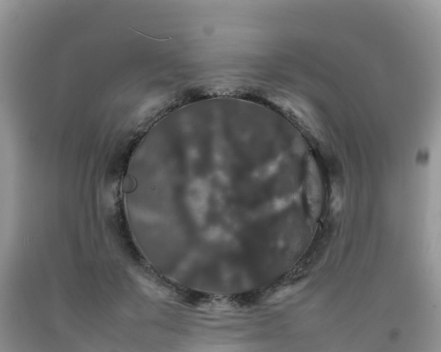 X0000092060503200709191144