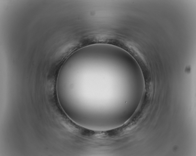 X0000092060505200709191144