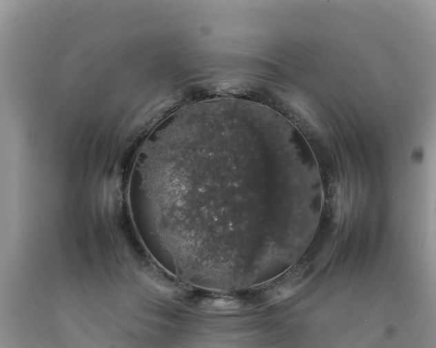 X0000092060506200709191144