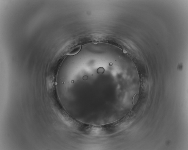 X0000092060507200709191144