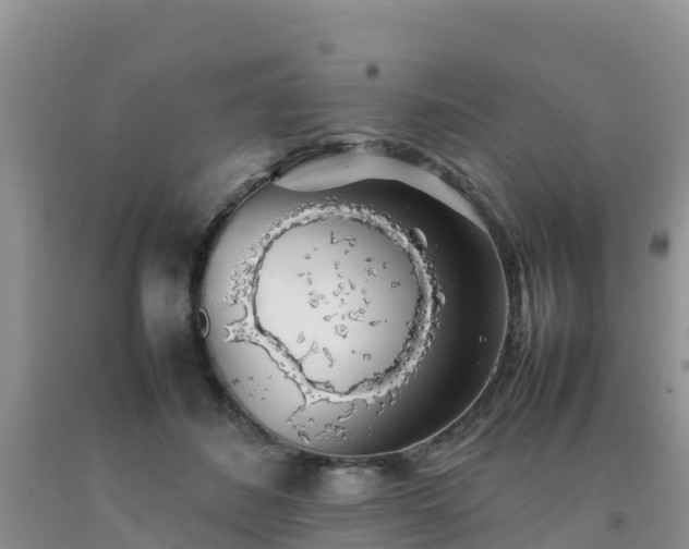 X0000092060508200709191144