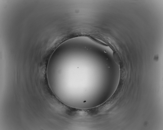 X0000092060509200709191144