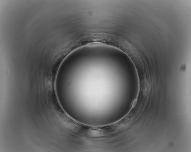 X0000092060510200709191144