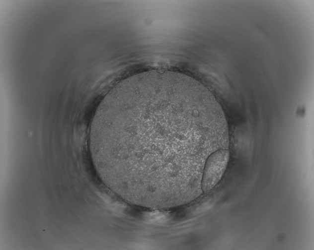 X0000092060511200709191144