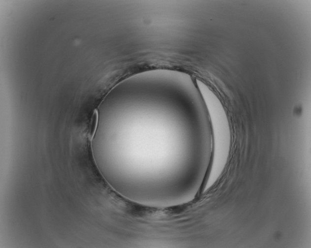 X0000092060513200709191144