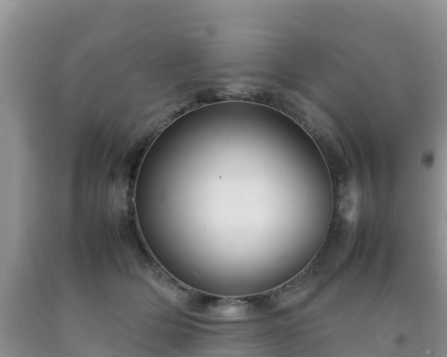 X0000092060514200709191144