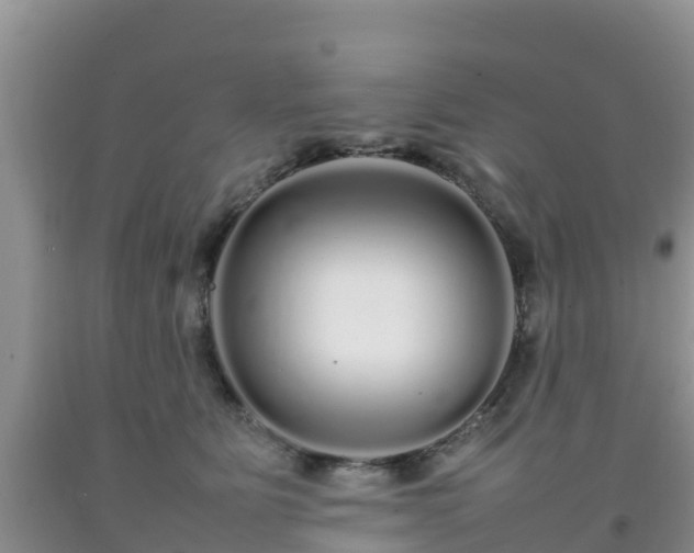 X0000092060515200709191144