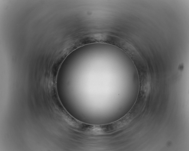 X0000092060518200709191144