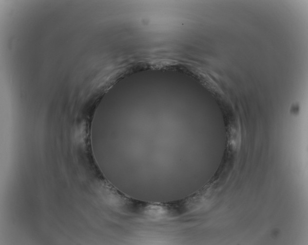 X0000092060519200709191144