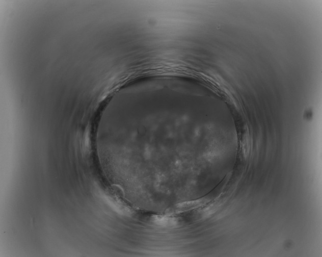 X0000092060520200709191144