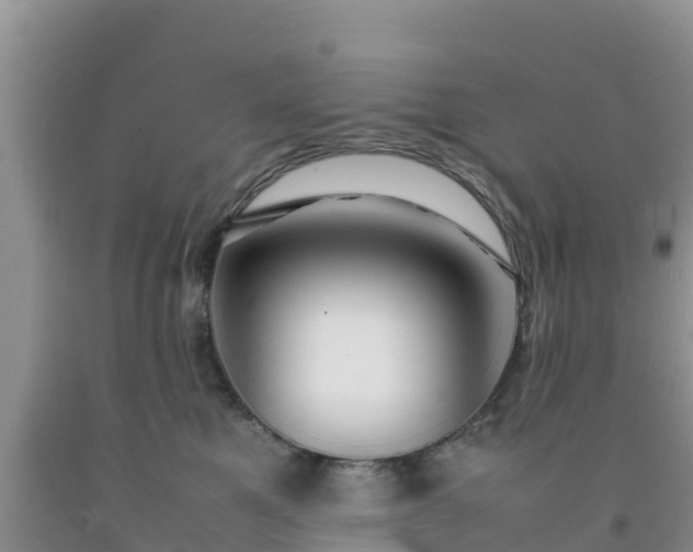 X0000092060521200709191144