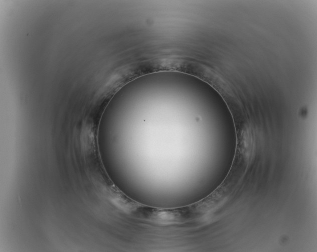 X0000092060522200709191144