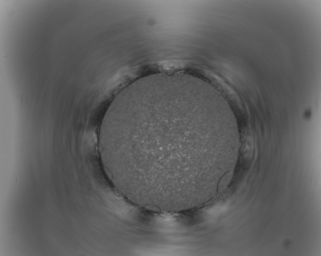 X0000092060523200709191144