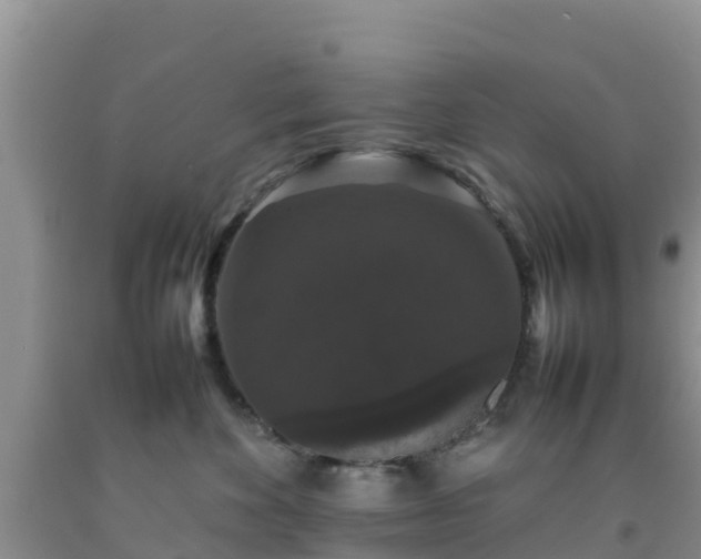 X0000092060524200709191144