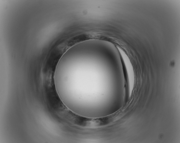 X0000092060525200709191144