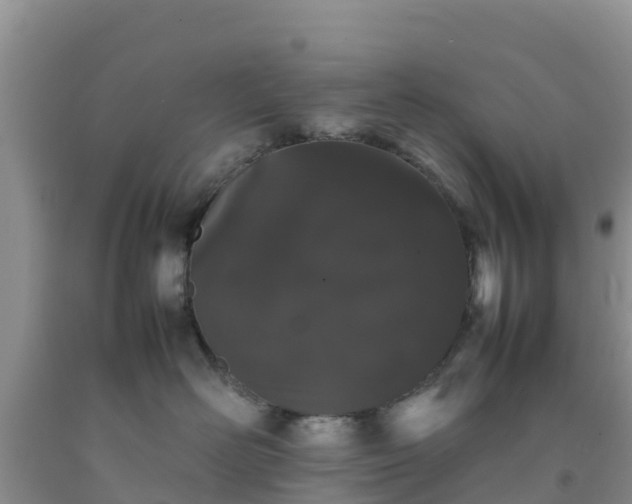 X0000092060526200709191144