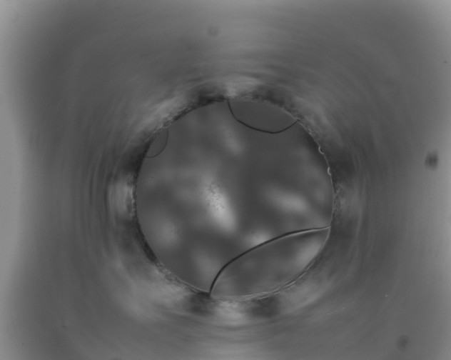 X0000092060527200709191144