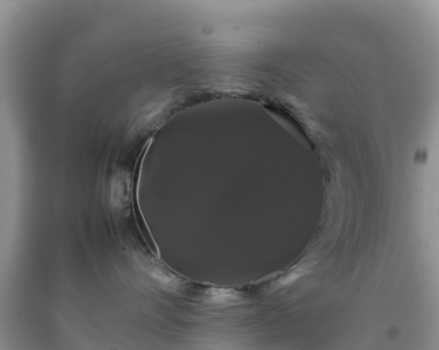 X0000092060528200709191144