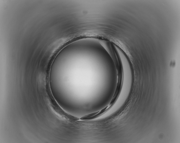 X0000092060530200709191143