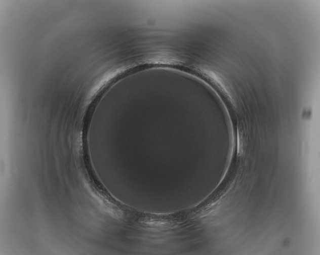 X0000092060531200709191143