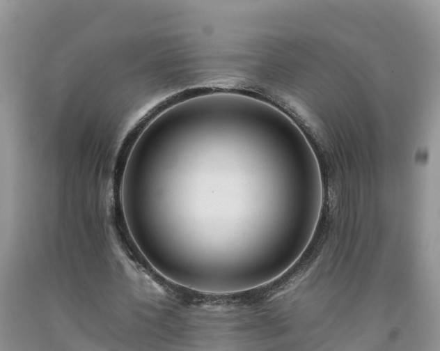 X0000092060532200709191143