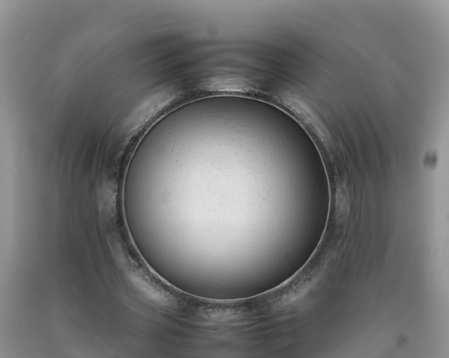 X0000092060533200709191143