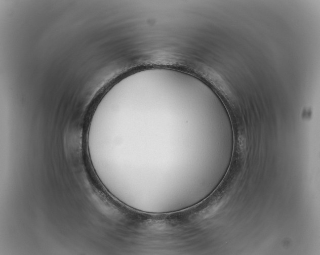 X0000092060534200709191143