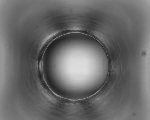 X0000092060535200709191143