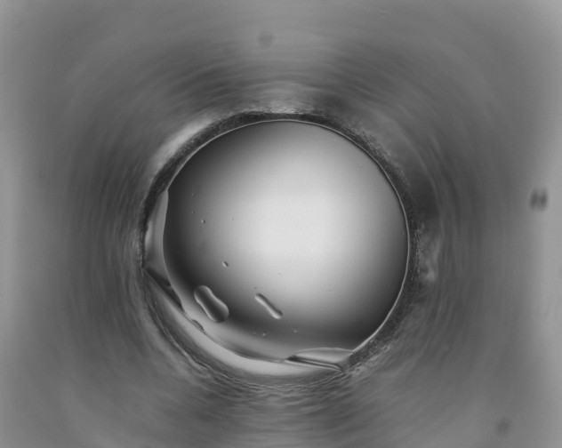 X0000092060536200709191144